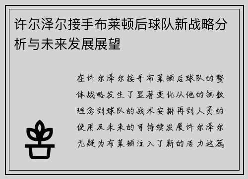 许尔泽尔接手布莱顿后球队新战略分析与未来发展展望