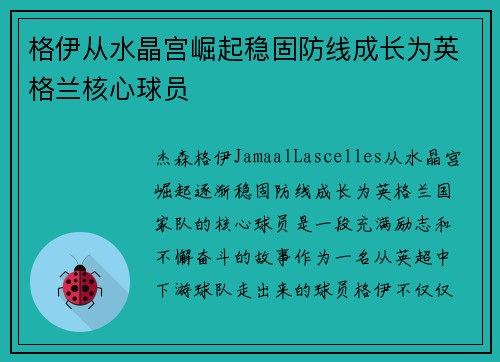 格伊从水晶宫崛起稳固防线成长为英格兰核心球员